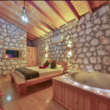 Vilă Begonvilla Stone *