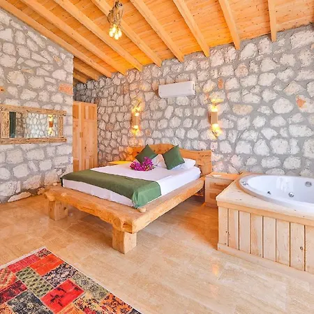 Vilă Begonvilla Stone *