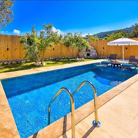 Begonvilla Stone Villa Gelemiş